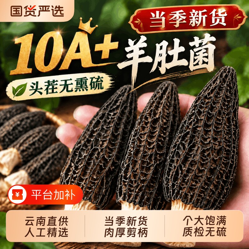 云南特产正品羊肚菌干货官方旗舰店儿童煲汤牛肚菇非野生特级新鲜