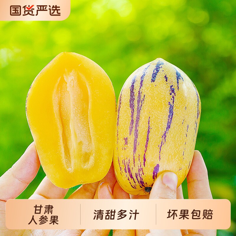 甘肃民勤沙漠人参果新鲜水果当季整箱黄肉人参长果树上熟大果包邮