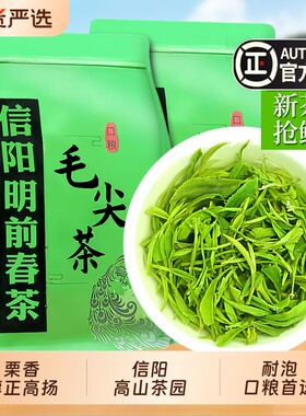 毛尖2026新茶一级浓香型信阳明前嫩芽绿茶叶袋装散装口粮茶自己喝
