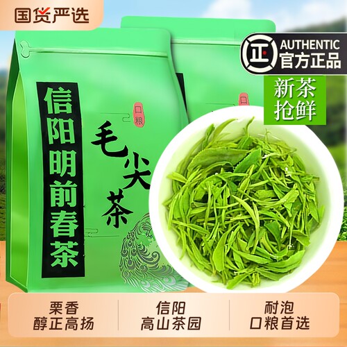 毛尖2026新茶一级浓香型信阳明前嫩芽绿茶叶袋装散装口粮茶自己喝