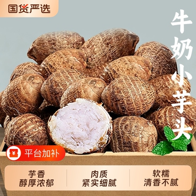牛奶小芋头新鲜现挖农家当季
