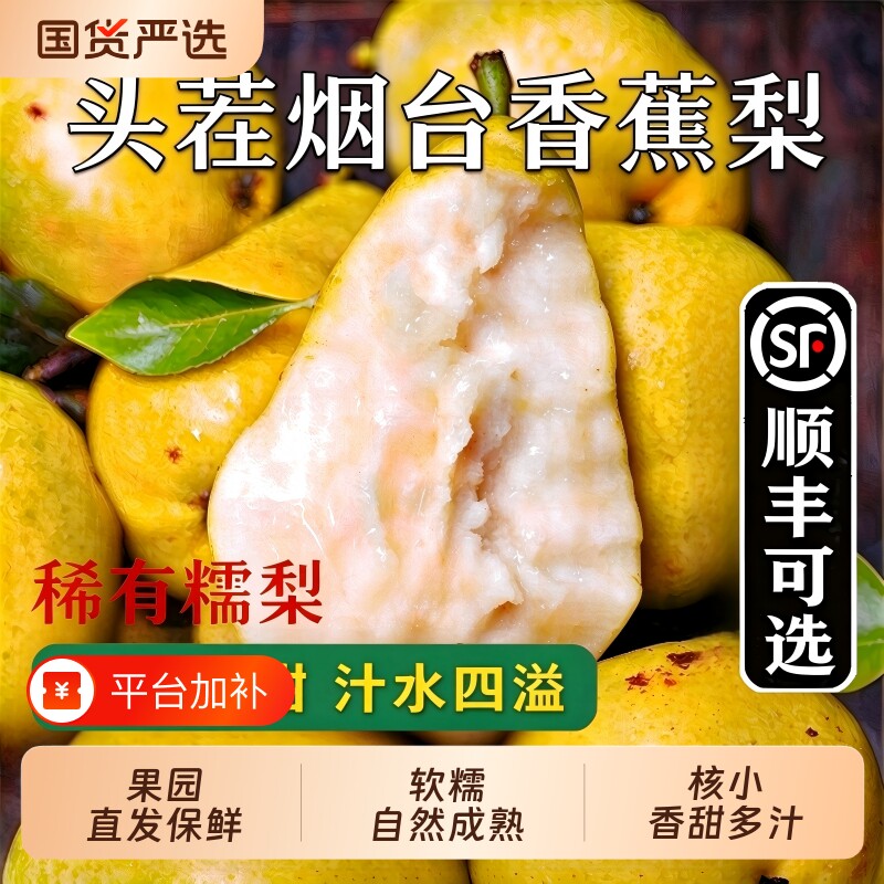 太婆梨香蕉梨新鲜水果当季整箱现摘东北茄梨大头梨子丑梨时令包邮