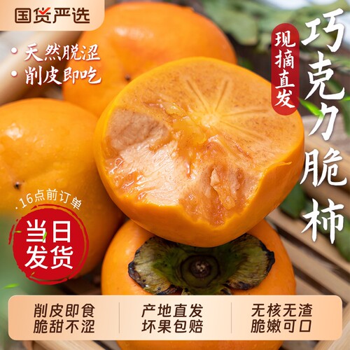 【巧克力脆柿产地直发】脆甜不涩