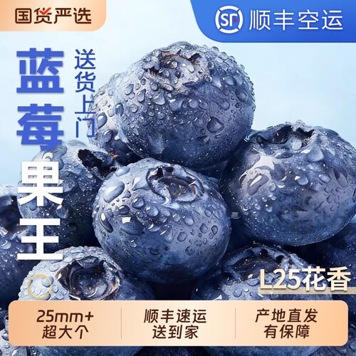 【12盒花香蓝莓钜惠】脆甜带花香