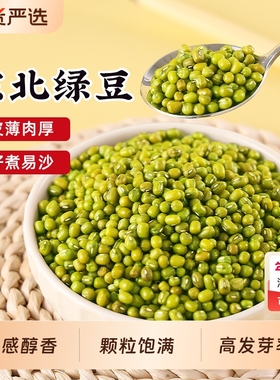东北黑龙江绿豆新鲜可发芽农家新货薄皮优质绿豆粥绿豆糕原料新货