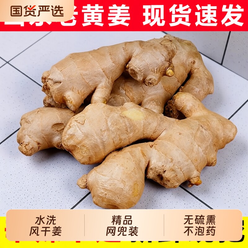 山东大姜老黄姜优质生姜月子姜风干姜现挖鲜姜新鲜本地大黄姜包邮