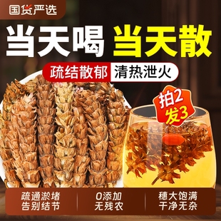 夏枯草中药材正品蒲公英散结茶白毛新鲜野生干货官方旗舰店结节