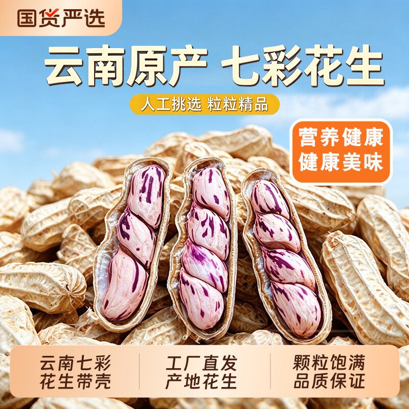 七彩花生带壳云南自然晒干原味零食带壳儿童晒干新货非豆类制品
