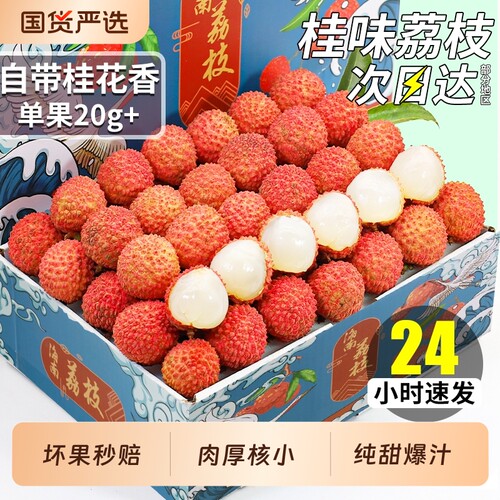 【顺丰次日达】正宗纯甜桂味荔枝