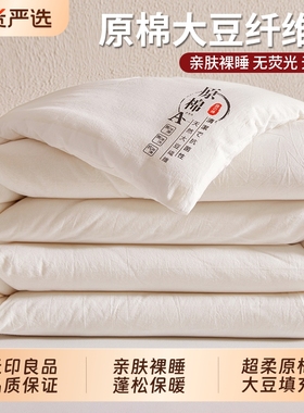 无印良品大豆纤维被子被芯四季通用冬天加厚保暖冬被单人棉被棉花