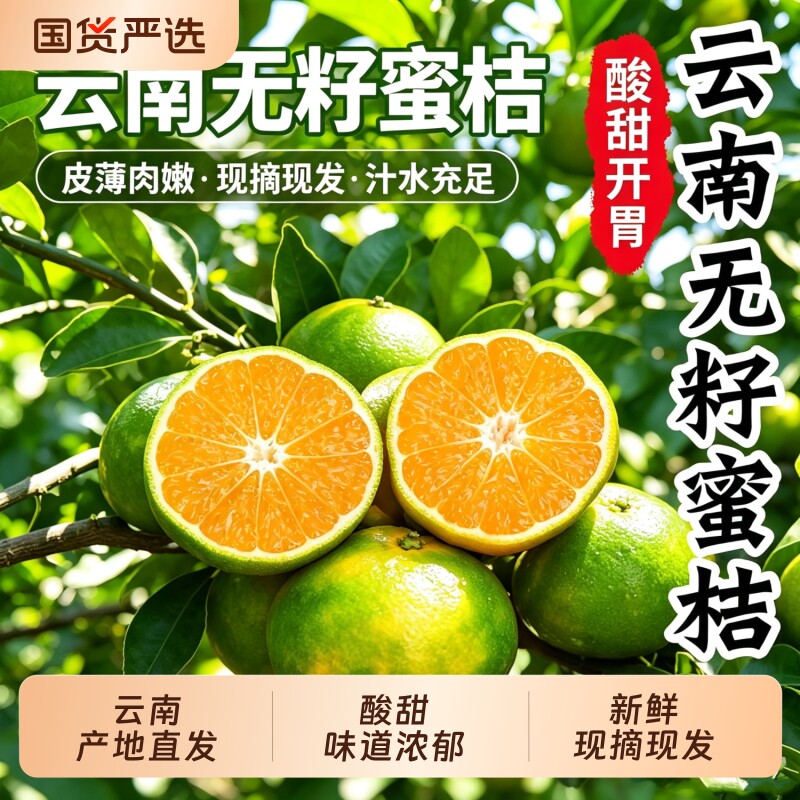 云南蜜桔早熟青皮橘子昆明新鲜桔子应季孕妇水果绿皮无籽国货现摘