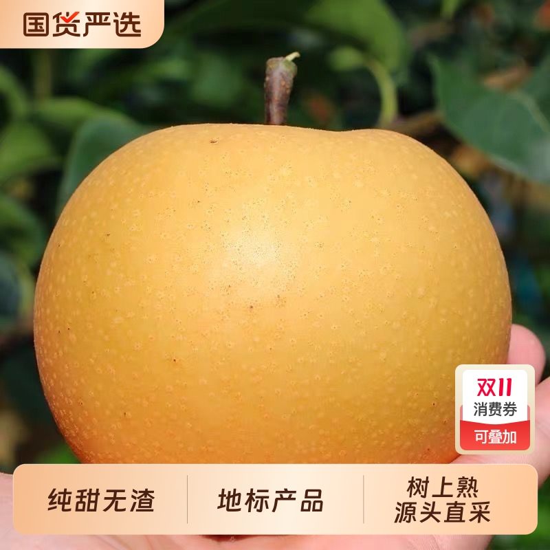 果尔斯纯甜无渣圆黄梨产地直采