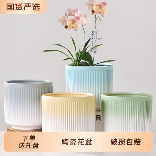 【超值四个】花盆陶瓷大号送托盘