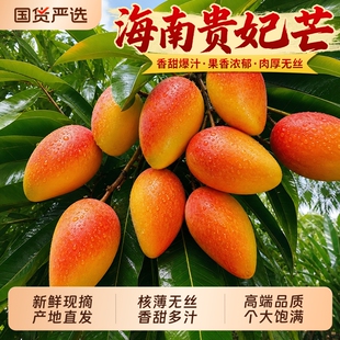 【央视品牌】顾一！广西贵妃芒净重4.5斤