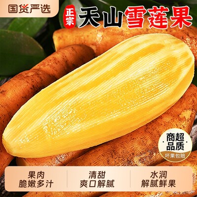 云南天山雪莲果新鲜水果脆甜多汁