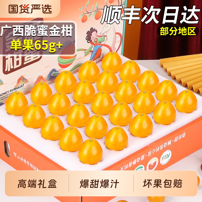 顺丰次日达|礼盒5斤正宗脆蜜金柑