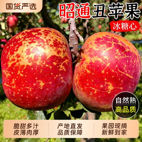 【昭通丑苹果9斤精装】脆甜多汁