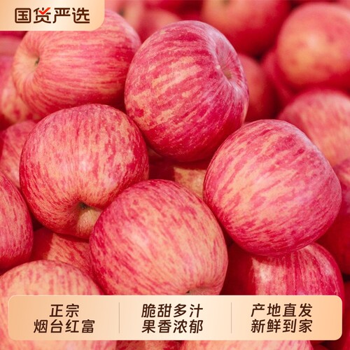 正宗山东烟台红富士苹果产地直发