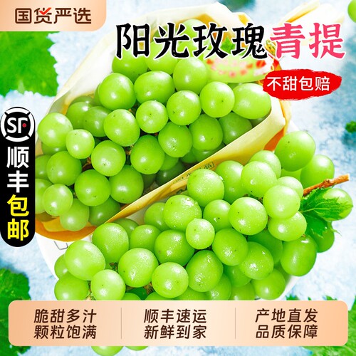 【阳光玫瑰9斤钜惠装】顺丰到家