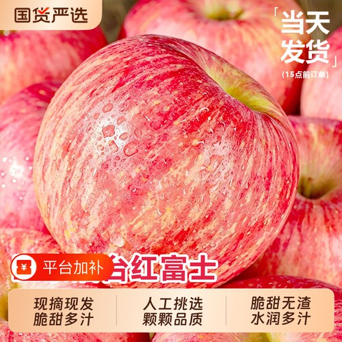 正宗山东烟台红富士苹果新鲜