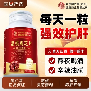 北京同仁堂葛根灵芝片养胶囊肝火旺护盛正品肝调理官方旗舰店国货