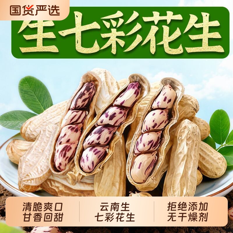 2026新货云南七彩花生自然晒干生花生种子办公室零食特产健康图片
