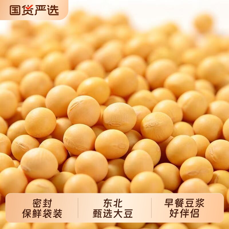 熟黄豆打豆浆燕麦米五谷杂粮磨粉原料批发低温烘焙非转基因黄豆图片
