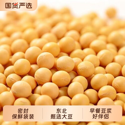 熟黄豆打豆浆燕麦米五谷杂粮磨粉原料批发低温烘焙非转基因黄豆