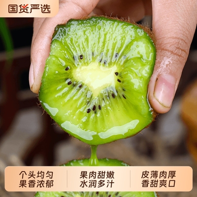 【正宗】徐香猕猴桃新鲜包邮整箱应季特产水果陕西奇异果香甜多汁
