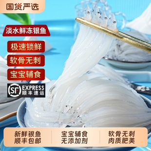 新鲜淡水银鱼三白小银鱼新鲜活冷冻水产银鱼仔无刺宝宝辅食顺丰