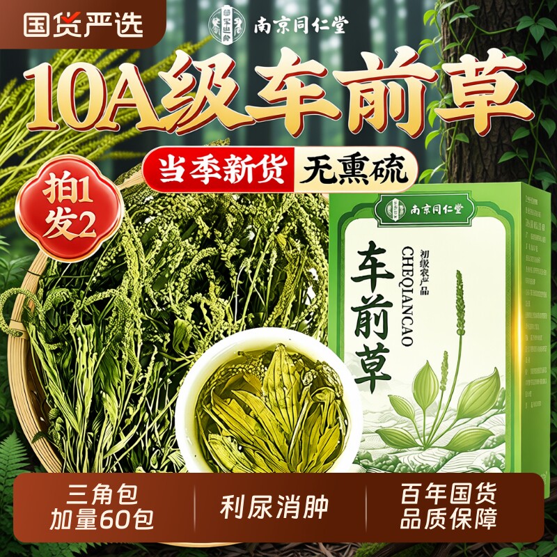 南京同仁堂车前草中药材野生泡水喝干货官方旗舰店正宗正品