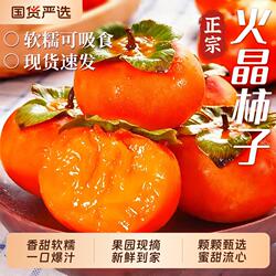 正宗陕西临潼火晶柿子新鲜水果应当季整箱时令流心软甜水晶小柿子