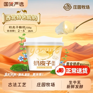 庄园牧场老兰州风味系列古法工艺奶皮子酸奶135g早餐优选秒