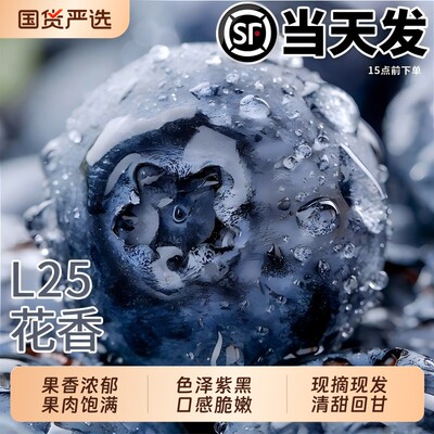 高山蓝莓新鲜水果现摘顺丰孕妇高端整箱当季怡颗25花香云蓝梅L南