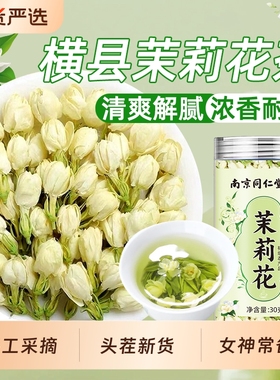 南京同仁堂花茉花茶横县雪球苞茶干茉莉花魅格格bz胎菊新鲜送礼