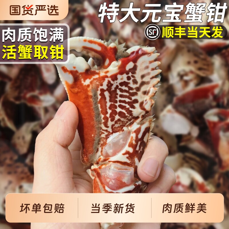 顺丰特大号元宝蟹钳面包蟹脚馒头蟹冷冻海鲜水产批发顺丰整箱包邮