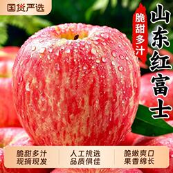 正宗山东红富士苹果新鲜水果应当季现摘脆甜栖霞苹果整箱包邮大果