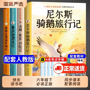 鲁滨逊漂流记汤姆索亚历险记4册六年级下册必读正版课外书原著尼尔斯骑鹅旅行记爱丽丝漫游奇境快乐读书吧6六下孙W阅读书目故事