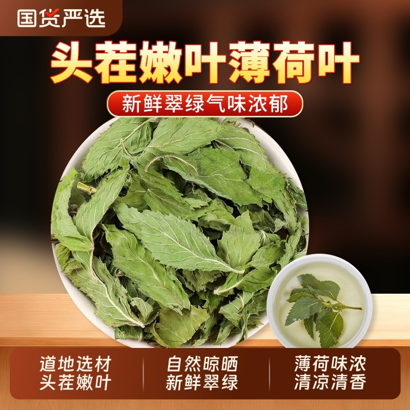新货薄荷叶中药材正品官方旗舰店干薄荷叶清凉花草薄荷叶泡茶泡水