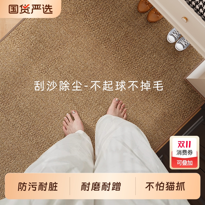 仿剑麻入户门地垫高级可裁剪防滑可机洗地毯新款耐脏门口家用脚垫