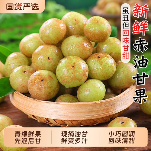 新鲜油甘果5斤当季现摘整箱包邮