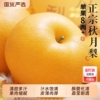 正宗山东莱阳秋月梨整箱10斤梨子脆甜现摘