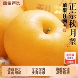 正宗山东莱阳秋月梨整箱10斤券后13.4元包邮