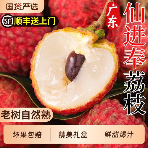 【顺丰次日达】广东仙进奉荔枝