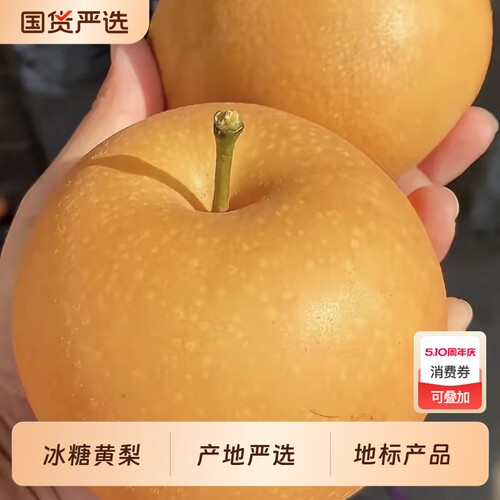 正宗圆黄梨丰水梨薄皮新鲜冰糖梨子水果脆甜多汁批发当季新鲜水果
