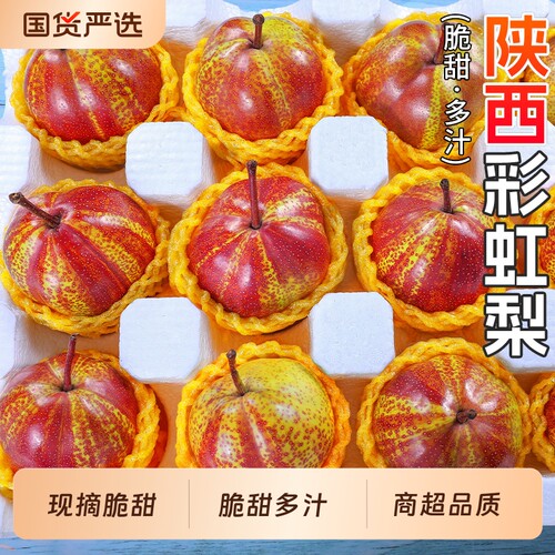 现摘脆甜陕西彩虹梨！商超品质！