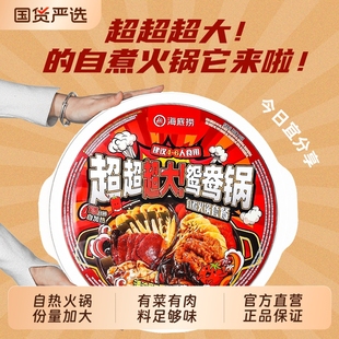 海底捞自煮自热超大鸳鸯火锅麻辣烫泡面粉丝麻辣嫩牛番茄方便速食