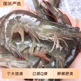 鲜活速冻厄瓜多尔大虾3斤