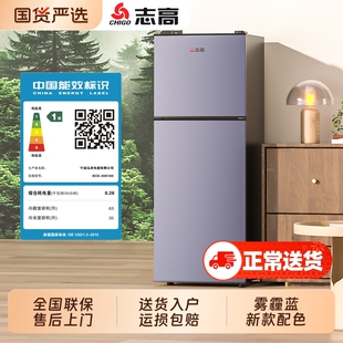 志高小冰箱一级能效家用小型租房宿舍迷你办公室冷冻节能冷藏冰箱