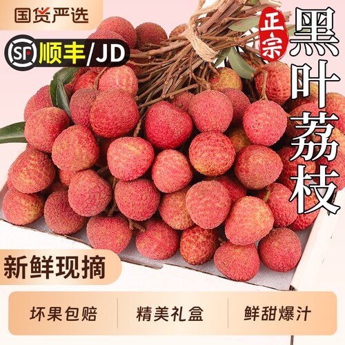 【顺丰次日达】正宗黑叶荔枝鲜果